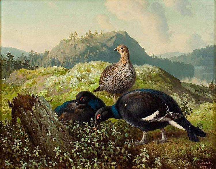 Ferdinand von Wright Black Grouses oil painting picture